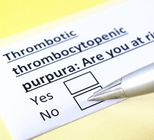 ארגמנת - תמונת המחשה